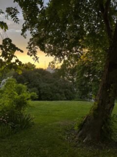 🇫🇮 Viikon flunssan jälkeen oli ihana päästä hetkeksi ulos ja nauttimaan kesäillasta 🌿.

Helsinki osaa kyllä olla kaunis✨.

Mukavaa viikonloppua kaikille! Minäpä suuntaan häihin 🥳💛!

…

🇬🇧 After a week with the flu, it felt wonderful to get outside for a moment and enjoy a summer evening 🌿

Helsinki really can be beautiful✨.

Have a lovely weekend everyone! I’m off to a wedding 🥳💛!

…

🇸🇪 Efter en vecka med flunssa var det underbart att få komma ut en stund och njuta av sommarkvällen 🌿

Helsingfors kan verkligen vara vacker✨.

Trevlig helg allihopa! Själv är jag på väg till ett bröllop 🥳💛!

#helsinki #nytstudioon #vapaalla #kesäilta #iphone