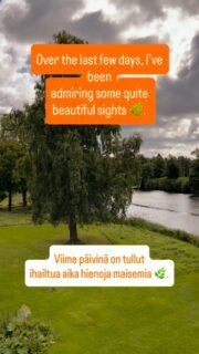 🇫🇮 Viime päivinä on tullut ihailtua vähän erilaisia maisemia. 🌿🤍 Ensin Konst & Form ja Porvoo, nyt kirjanpitoa ruukin kosken äärellä.
Pian taas takaisin kuvien pariin, niitä pääsen näyttämään teillekin myöhemmin 📸.

…

🇬🇧 Over the last few days, I’ve been admiring a few lovely sights. 🌿🤍
First Konst & Form and Porvoo, now doing some bookkeeping by the edge of the old sawmill’s waters.
I’ll be back to my photos soon, I’ll be able to show them to you later too 📸.

…

🇸🇪 De senaste dagarna har bjudit på fina miljöer. 🌿🤍 Först Konst & Form och Borgå, nu lite bokföring vid en gammal sågverks fors. 
Snart tillbaka till bildredigeringen, så jag kan visa dem för er sen senare 📸.

#nytstudioon #valokuvaaja #yrityksille #behindthescenes